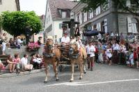 IMG_6149 (2) 